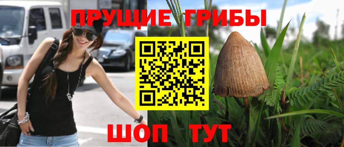 Псилоцибиновые грибы прущие грибы  Вход с VPN  Губкин 